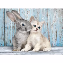 Clementoni 500 pièces - Cat & bunny, 500 pièce(s), Animaux, 14 an(s)