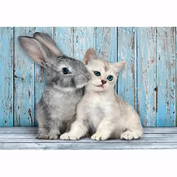 Clementoni High Quality Collection Cat & Bunny Jeu de puzzle 500 pièce(s) Animaux