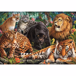 Clementoni Compact 500 pièces - Wild Cats