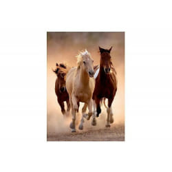 Clementoni 1000 pièces - Running horses