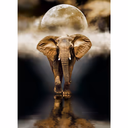 Clementoni 39416 puzzle Contour pour puzzle 1000 pièce(s) Animaux