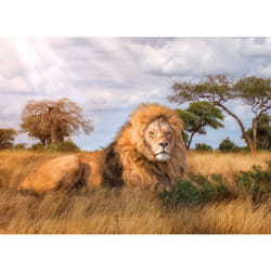 Clementoni The King Jeu de puzzle 1000 pièce(s) Animaux