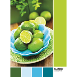 Clementoni Puzzle Pantone 1000 pièces - Lime Punch