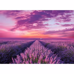 Clementoni Lavender Field Jeu de puzzle 1000 pièce(s) Faune - Vue supplémentaire 2