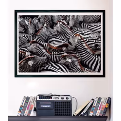 Clementoni Zebra Jeu de puzzle 1000 pièce(s) Animaux