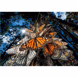 Clementoni Butterflies Jeu de puzzle 1000 pièce(s) Animaux