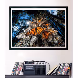 Clementoni Butterflies Jeu de puzzle 1000 pièce(s) Animaux