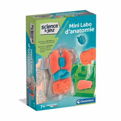 Clementoni Mini Labo d'anatomie, 8 an(s)