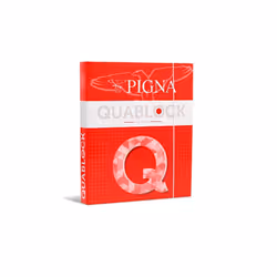 Pigna 006230630S classeur à anneaux A4 Multicolore