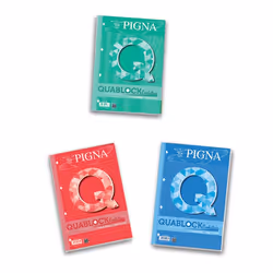 Pigna 02112155M, Image, Multicolore, A4, 40 feuilles, Satin, 80 g/m²