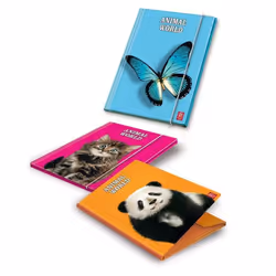 Pigna File Folder 6 pcs, 260 x 345 mm, Papier, Jaune, 260 mm, 345 g, 6 pièce(s)