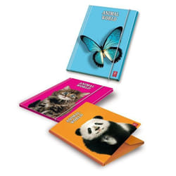 Pigna File Folder 6 pcs Papier Jaune 260 x 345 mm
