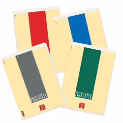 Pigna 0213748BI, Monochromatique, Multicolore, A4, 70 feuilles, Satin, 80 g/m²
