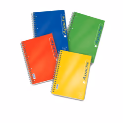 Pigna 02138061R, Monochromatique, Multicolore, A4, 140 feuilles, Satin, 70 g/m²
