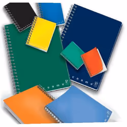 Pigna Monocromo Maxi bloc-notes Multicolore