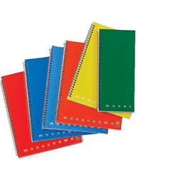 Pigna Monocromo Maxi bloc-notes Multicolore