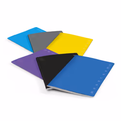 Pigna 02217780Q, Monochromatique, Multicolore, A5, 40 feuilles, Couverture souple, Universel