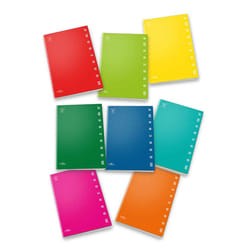 Pigna 02298874F bloc-notes A4 42 feuilles Multicolore