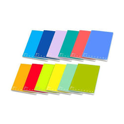 Pigna 02241551R bloc-notes A4 34 feuilles Multicolore