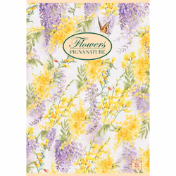 Pigna 0229885OC bloc-notes A4 40 feuilles Multicolore