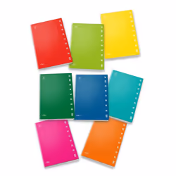 Pigna 02298870C, Monochromatique, Multicolore, A4, 42 feuilles, 80 g/m², Couverture souple