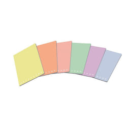 Pigna 02298901R bloc-notes A4 20 feuilles Multicolore