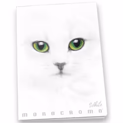 Pigna Monocromo, Image, Blanc, A4, 19 feuilles, Mat, 100 g/m²