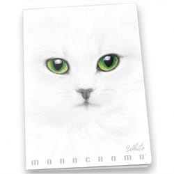 Pigna Monocromo bloc-notes A4 19 feuilles Blanc