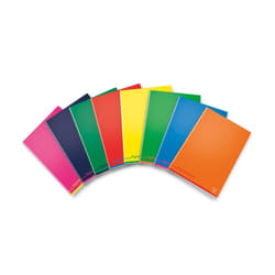 Pigna 02308750C bloc-notes A4 Multicolore