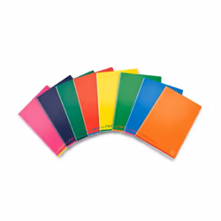 Pigna 02308751R, Monochromatique, Multicolore, A4, Satin, 80 g/m², Papier ligné