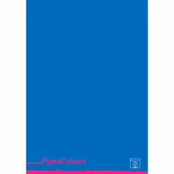 Pigna 02308751R bloc-notes A4 Multicolore