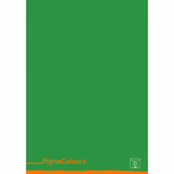 Pigna 02308751R bloc-notes A4 Multicolore