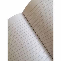 Pigna 02312181R bloc-notes A4 160 feuilles Multicolore