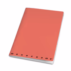 Pigna 02317765M bloc-notes Multicolore