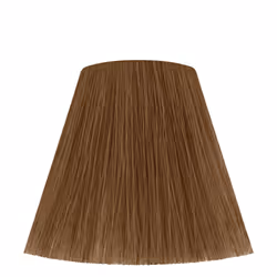 Wella Color Touch Deep Browns couleur de cheveux Marron 60 ml