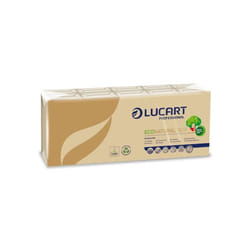 Mouchoirs en Papier EcoNatural 9 Paquets de 10 - LUCART - GENERIQUE - Adulte - Mixte