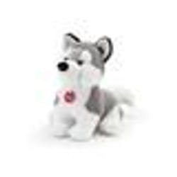 Trudi - Husky
