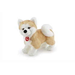 Trudi - Akita Ascanio