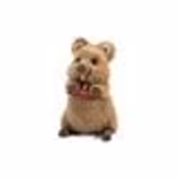 Trudi - Quokka Arturo, Garçon/Fille, Chine, CE