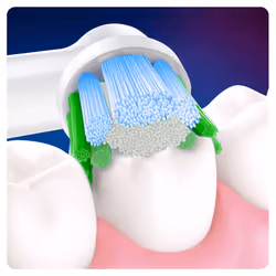 Oral-B Precision Clean Pro 6 pièce(s) Blanc