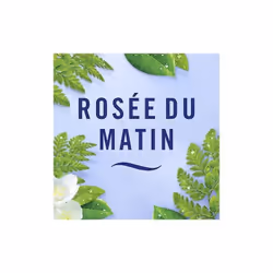 Une fraîcheur instantanée ! Spray désodorisant pour tous types de textiles. Parfum frais et léger de fraîcheur matinale, élim ...