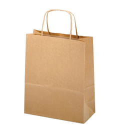 Saul Sadoch Rex SDS16 sac en papier Marron