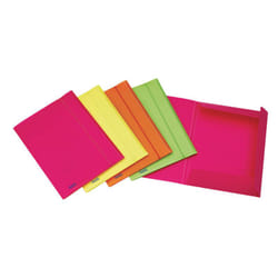 Favorit 400066846 fichier Polypropylène (PP) Vert, Orange, Rose, Jaune