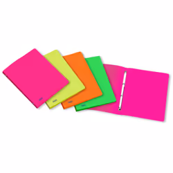 Favorit 400066847, 200 x 300 mm, Rangement, Polypropylène (PP), Vert, Orange, Rose, Jaune, Surface gaufrée, 1,5 cm