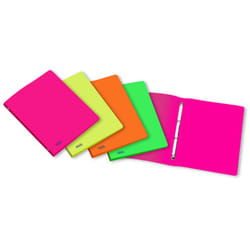 Favorit 400066847 classeur à anneaux 200 x 300 mm Vert, Orange, Rose, Jaune