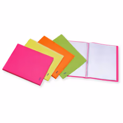 Favorit 400102295, Porte-documents, A4, Polypropylène (PP), Vert, 20 pochettes, 22 cm