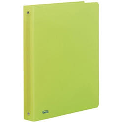 Favorit Neon classeur à anneaux A4 Vert