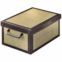 Boîte de Rangement en Carton Plastifiée Tapirus - LAVATELLI - 35 x 25 x 175 cm - Hermétique et Solide