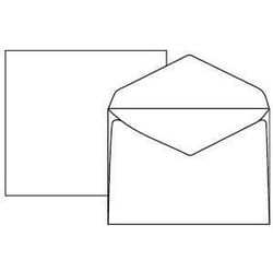 Pigna Monique enveloppe Blanc 500 pièce(s)