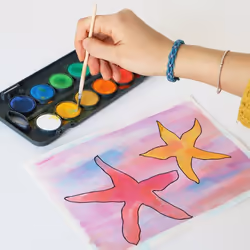 Primo 126A12FN peinture à l'eau Multicolore Palette 12 pièce(s)
